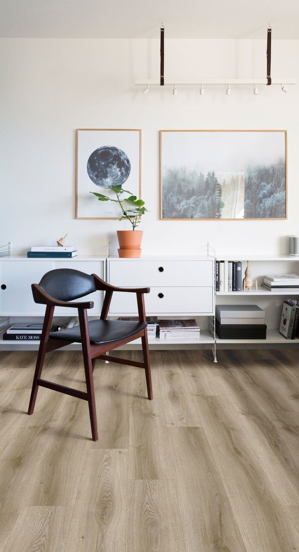 Orla - Bartlett Dryback 